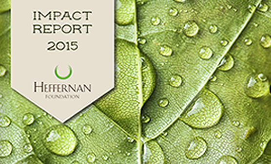 2015-Impact-Report