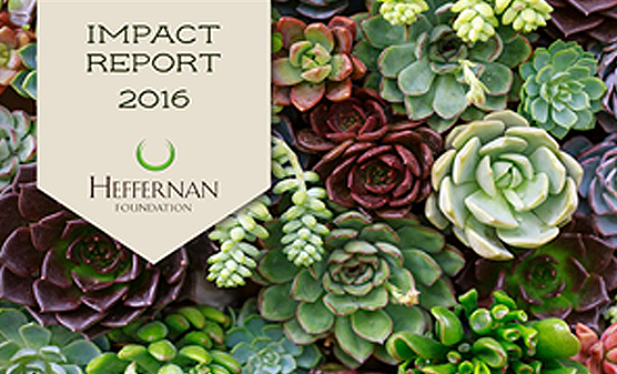 2016-Impact-Report