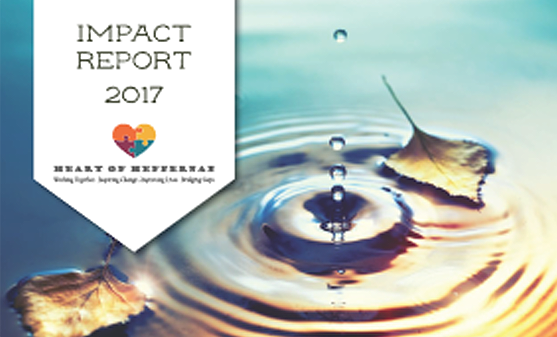 2017-Impact-Report